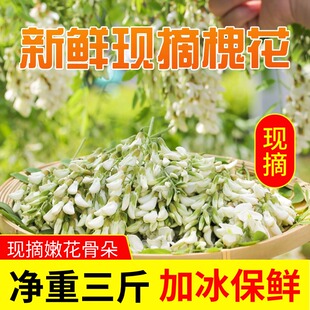 2026新鲜槐花现摘洋槐花槐米花骨朵散装蔬菜野菜加冰发货包邮
