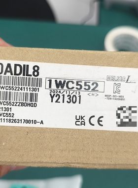 L60ADIL8模拟量输入模块  型号1WC