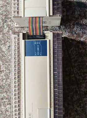 PLC  XC3-48R-E 加个模块XC-E2DA
