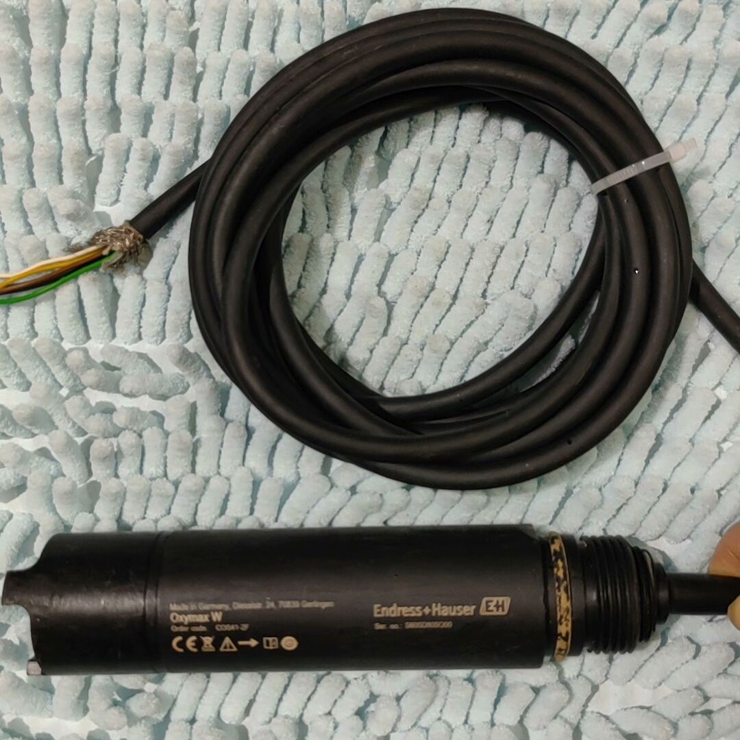 E+H德国恩德斯豪斯溶解氧探头COS41-2F