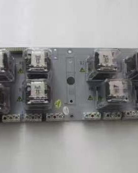 OVATION  西屋   1C31222G01