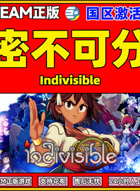 PC中文Steam 密不可分 Indivisible 角色扮演  国区激活码CDKey