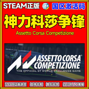 Steam神力科莎:争锋 竞速 本体/扩展包DLC国区激活码 正版PC游戏