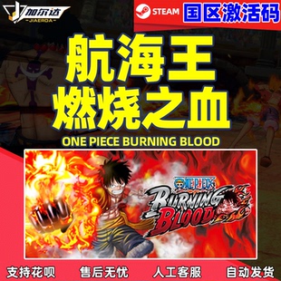 Piece One Burning Blood CDKey Steam 国区激活码 航海王燃烧之血