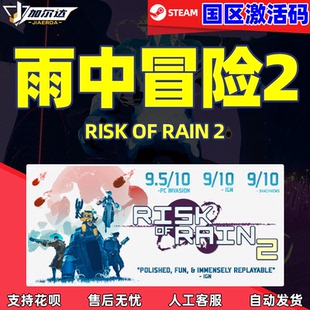 激活码 国区CDKey Risk PC中文游戏steam Rain 雨中冒险2