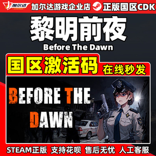 Steam 黎明前夜 Before The Dawn 国区激活码CDKEY 正版PC游戏