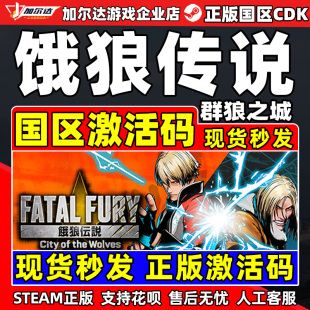 FATAL 群狼之城 饿狼传说 游戏 CDKey PC正版 FURY国区激活码 Steam