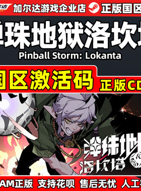 steam 弹珠地狱洛坎塔 Pinball Storm: Lokanta 国区激活码CDKey