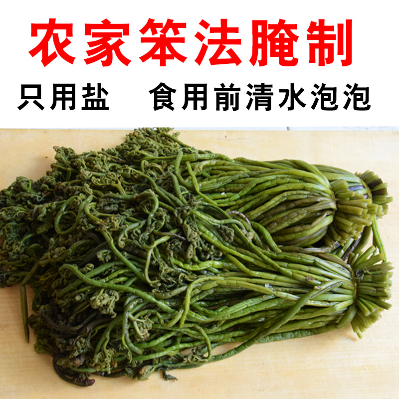 吉林腌制咸蕨菜无老根无水净重