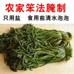 东北咸蕨菜2025年吉林农村腌制野生蕨菜山野菜白山发无老根净重