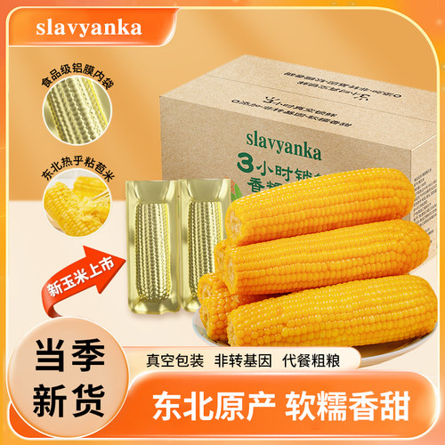 东北黄糯玉米新鲜软糯黄粘苞玉米现摘真空装早餐代餐饱腹玉米棒