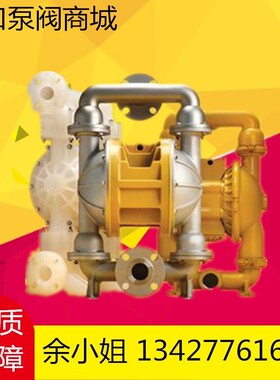 新款爆款美国威马E5PP6X669A/C气动隔膜泵新E5PP6X659D PP铁现货