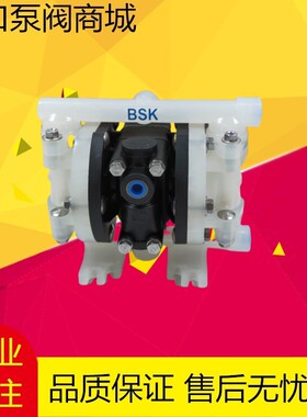 新款美国气动隔膜泵 BP06PP系列BP06PP-PTT4/P991-B现货