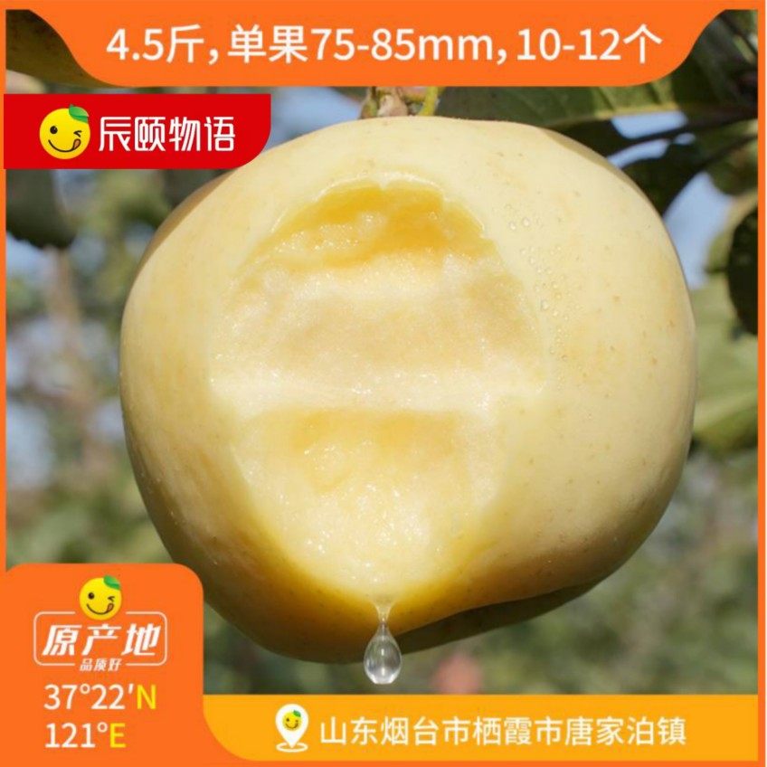 辰颐物语山东栖霞奶油富士苹果4.5斤当季新鲜水果现摘黄苹果包邮,水产肉类/新鲜蔬果/熟食,苹果,淘宝优惠券,粉丝福利购,淘宝优惠卷