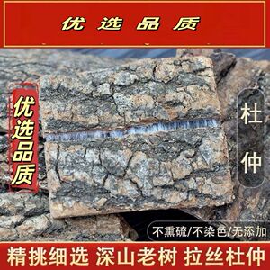 秦岭老树厚肉拉丝杜仲丝绵皮