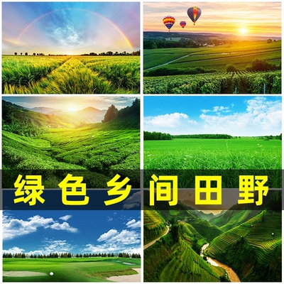 绿色草原乡间田野稻田草地河流装饰壁画大自然风景高清海报墙贴画