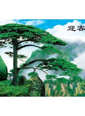 迎客松黄山风景装饰画山水客厅墙画风水年画瀑布流水财源广进贴画