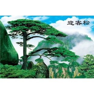 迎客松黄山风景装饰画山水客厅墙画风水年画瀑布流水财源广进贴画