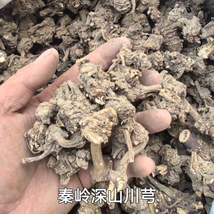 秦岭深山新货原生态新鲜干货川芎500g包邮四物汤原材料整棵无硫