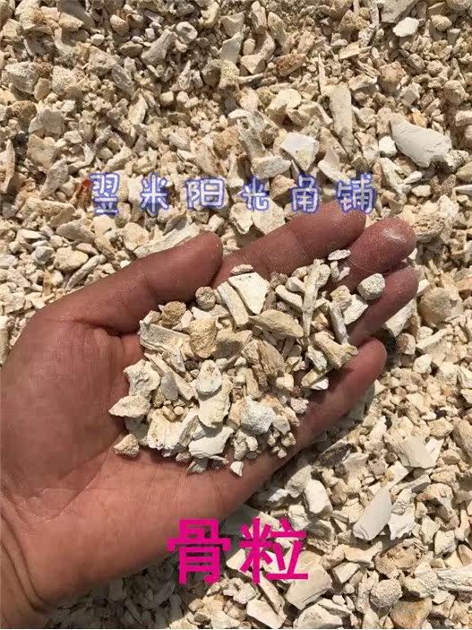 鸽子家禽宠物盐磷肥花肥料牛骨粉骨粒补钙包邮脱脂