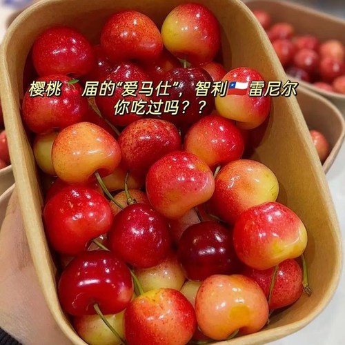 正品雷尼尔金车车厘子智利进口车厘子新鲜水果礼盒装鲜果樱桃