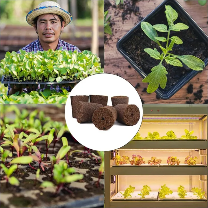 生物炭绵无土多肉栽培基质海绵控养育苗块种植碳棉营养土盆栽,鲜花速递/花卉仿真/绿植园艺,介质/营养土,淘宝优惠券,粉丝福利购,淘宝优惠卷