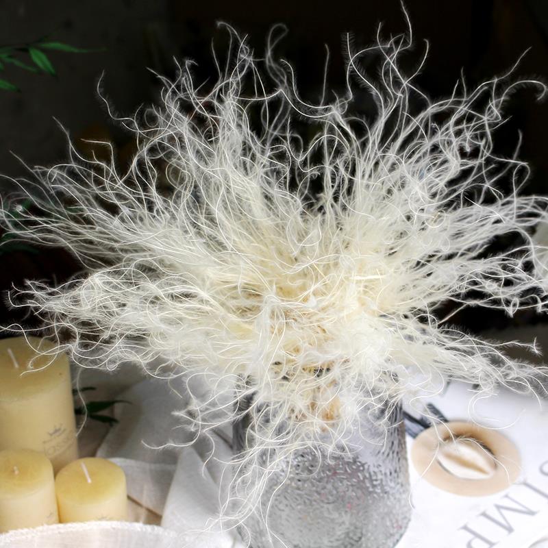 永生羽毛草花材配花装饰