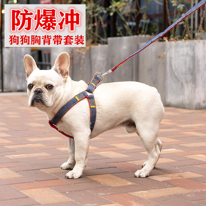 狗狗遛狗猫咪牵引绳胸背带绳子狗链子小中大型犬泰迪柯基拴狗用品