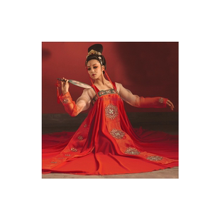 新款汉唐舞佳韵天香演出服中国风民族表演服儿童古典舞蹈表演服装