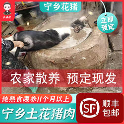 宁乡花猪前腿肉五花肉猪排骨筒子骨梅花肉猪脚农家散养顺丰包邮
