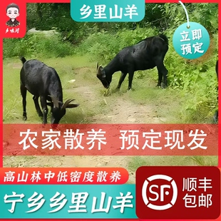 包邮生蝎子里脊无骨羊腩羊腿羊排煲汤散养鸡新鲜现杀套餐黑山羊