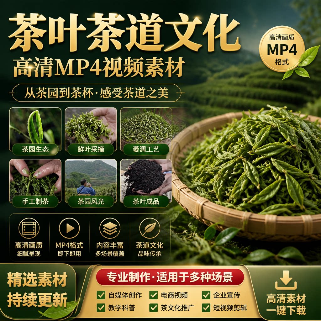茶叶采茶树摘茶加工茶道文化手工炒茶泡茶功夫茶喝茶高清视频素材