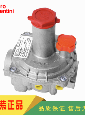 Pietro Fiorentini菲奥30161 30162 30163 30164 30165燃气减压阀