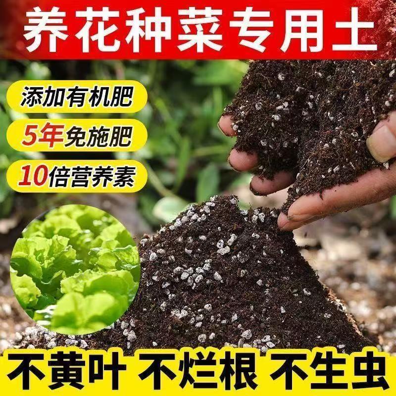 养花土营通用型盆栽植物