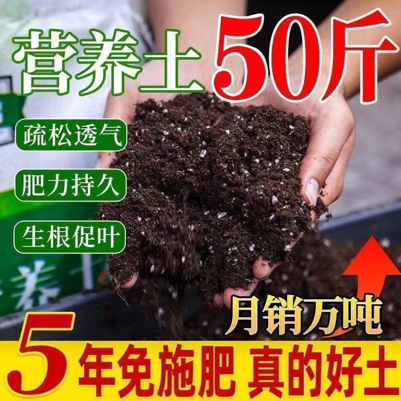 肥效持久通用营养土养花