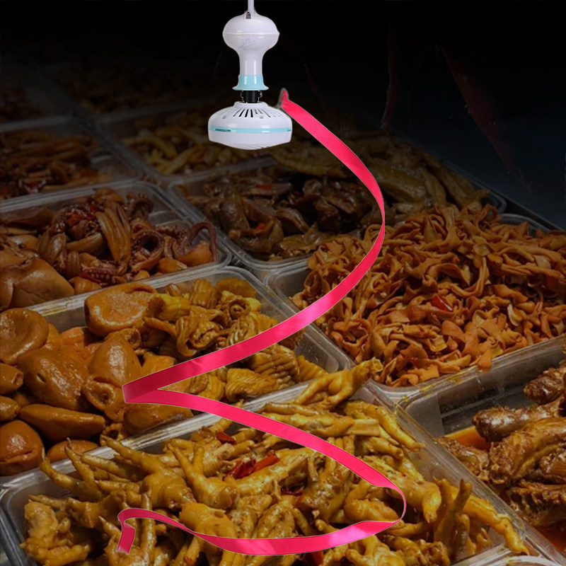 赶苍蝇吊扇220V插电水果商店驱蚊卤菜熟食店专用扇生鲜肉铺无风