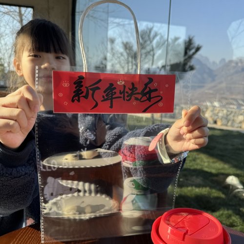 春节儿童节礼品袋加厚塑料手提袋