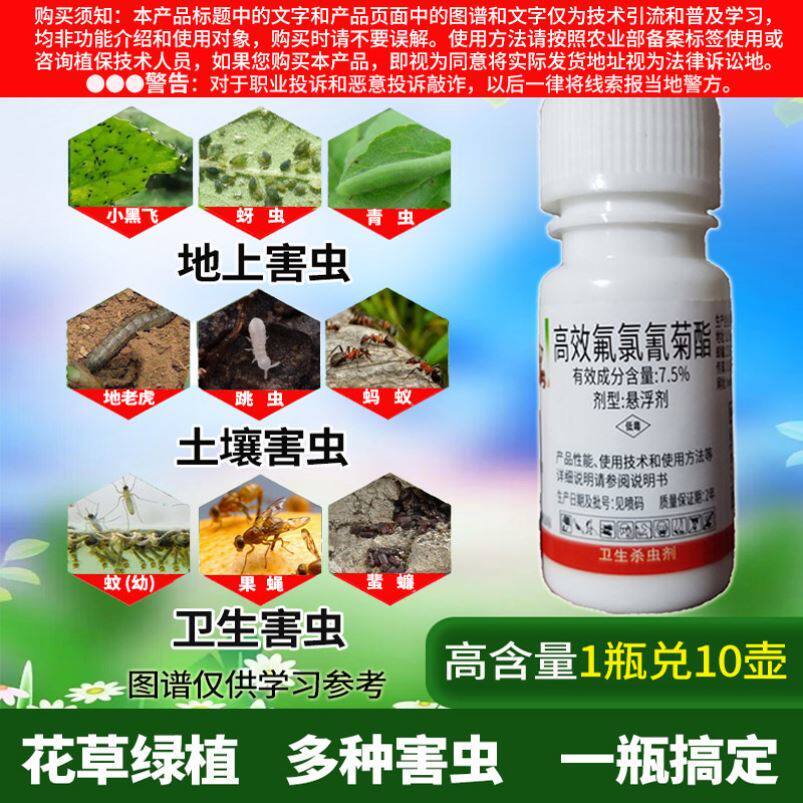 花盆里有小虫花土里太阳花长寿花杀虫剂虫子药月季除虫药小黑虫