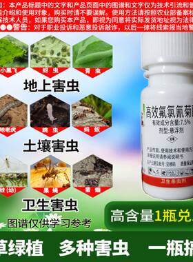 花盆里有小虫花土里太阳花长寿花杀虫剂虫子药月季除虫药小黑虫