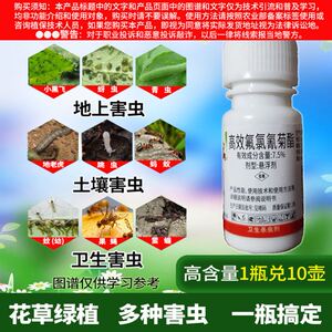 花盆里有小虫花土里太阳花长寿花杀虫剂虫子药月季除虫药小黑虫
