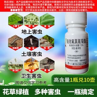 花盆里有小虫花土里太阳花长寿花杀虫剂虫子药月季除虫药小黑虫