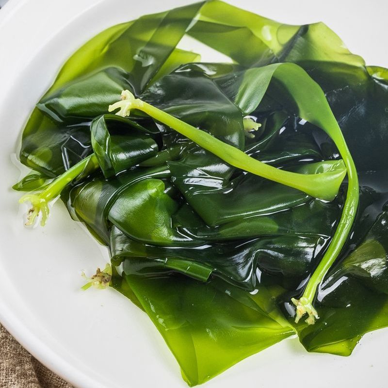 新鲜农产品海带苗 小海带 火锅关东煮麻辣烫食材