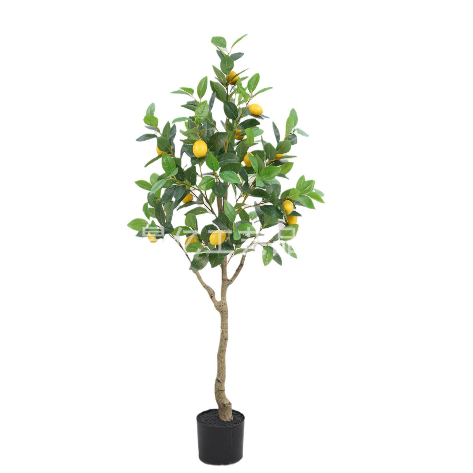 北欧仿真植物柠檬树盆栽服装店室内客厅大型装饰仿真绿植