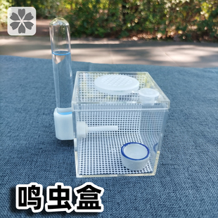 竹蛉黄蛉饲养盒保湿盒子跳蛛宠物鸣虫饲养盒蜘蛛爬宠透明盒子