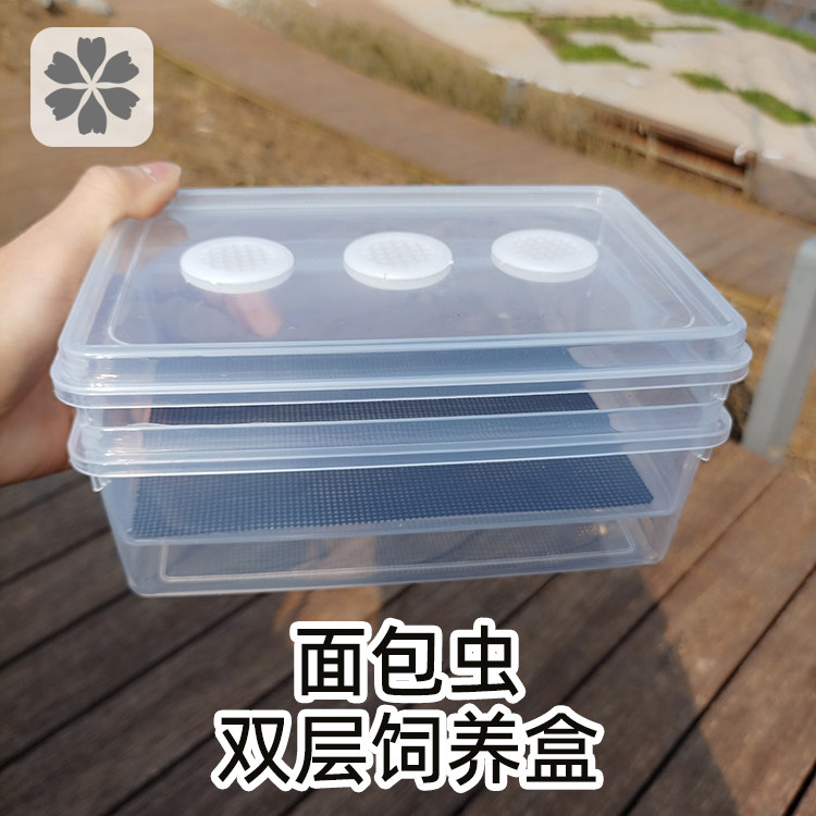 面包虫饲养盒子大麦虫养殖盒