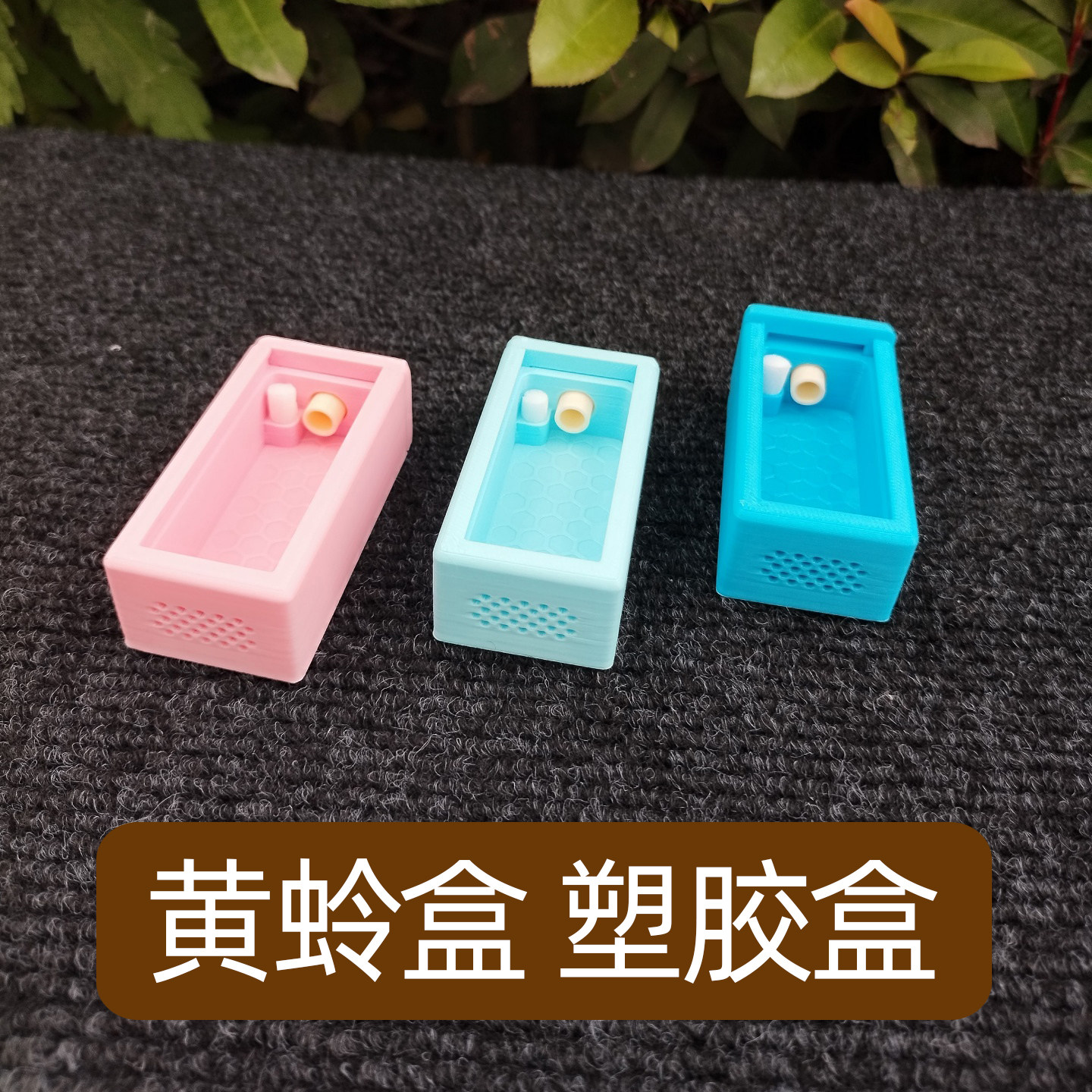 大小黄蛉专用饲养盒鸣虫盒塑料虫具蛉盒蛉子蛉虫盒加湿器保湿