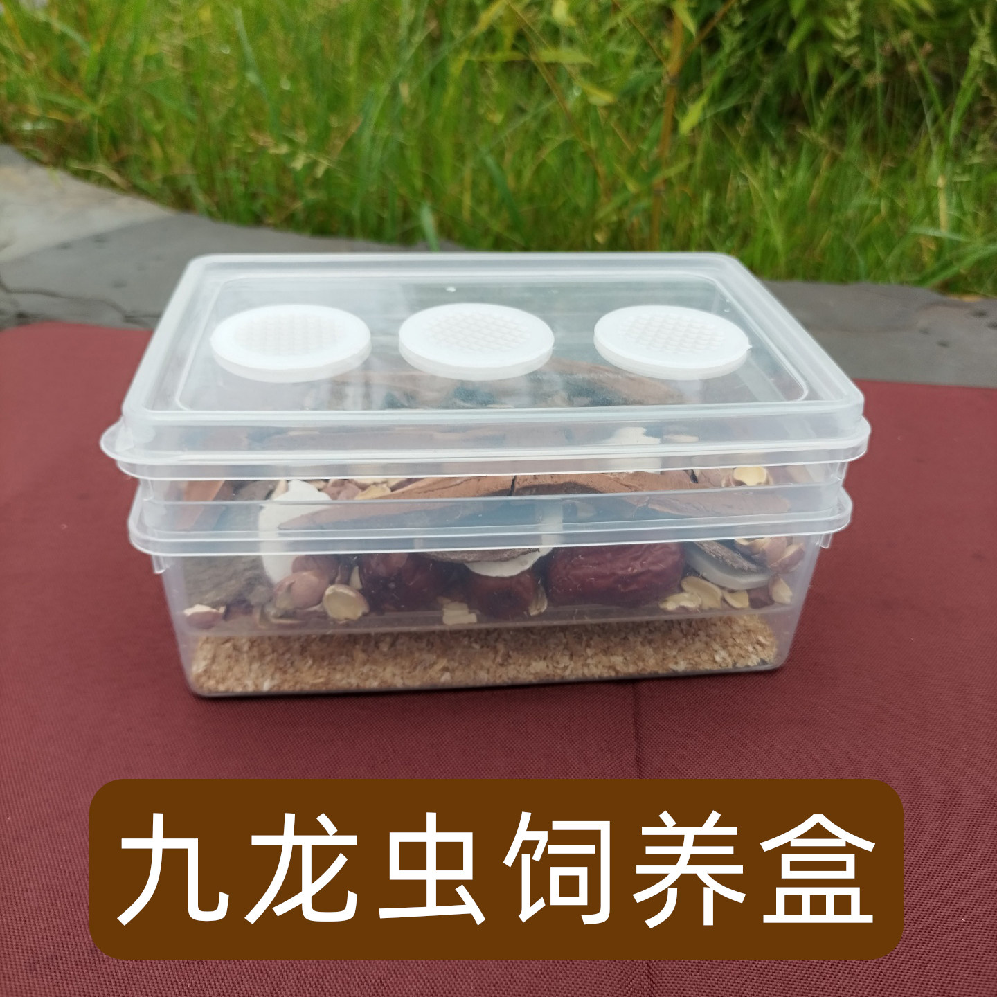 透明九龙虫养殖盒双层设计透气