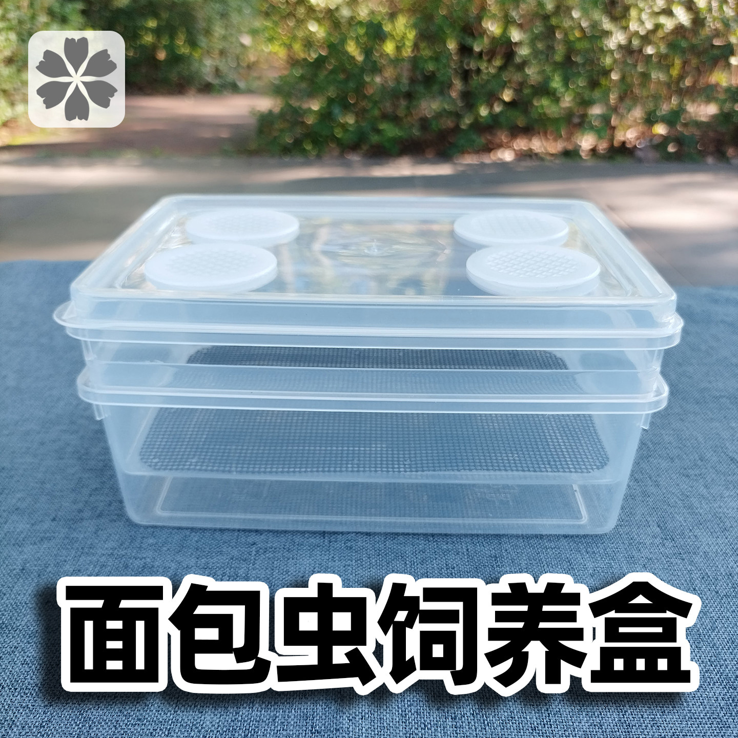 面包虫滤屎饲养箱防臭防潮