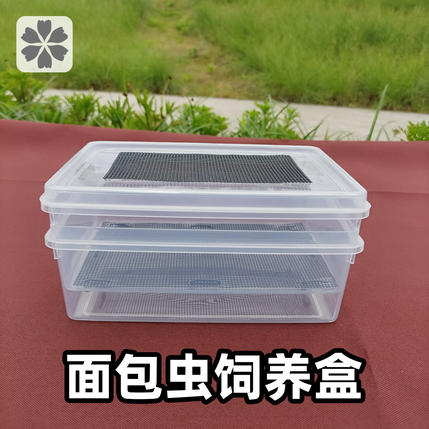 面包虫养殖盆滤屎大麦虫饲养箱