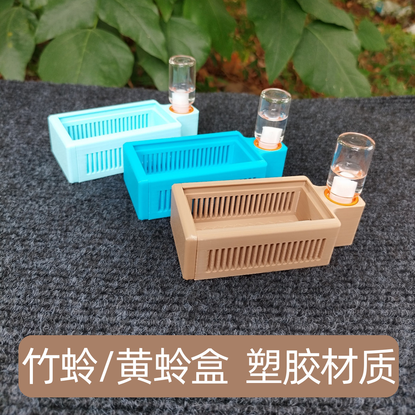 小黄蛉大黄蛉饲养盒带保湿 多功能竹蛉盒塑料款鸣虫盒观赏虫具